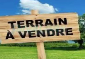 Terrain,A vendre,1213