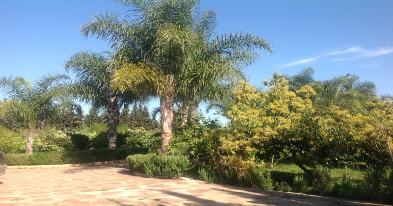 casablanca,4 Bedrooms Bedrooms,2 BathroomsBathrooms,Villa,1007
