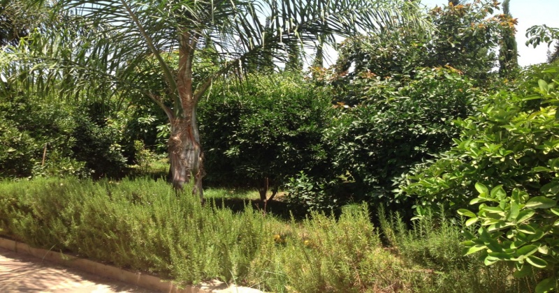casablanca,4 Bedrooms Bedrooms,2 BathroomsBathrooms,Villa,1007